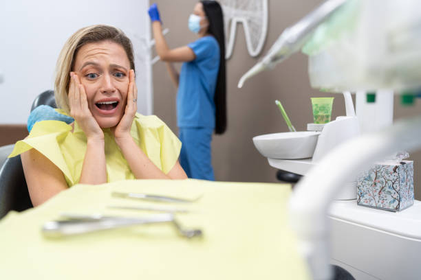 Best Chipped Tooth Repair Near Me  in Brookridge, FL